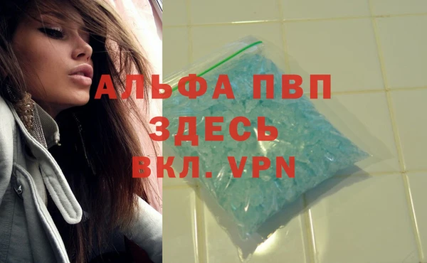 крисы Беломорск
