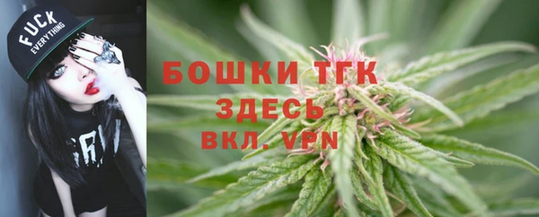 шишки Краснотурьинск