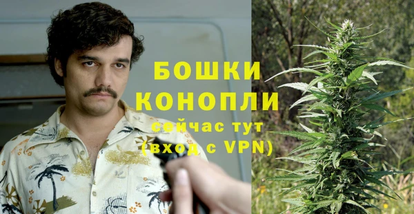каннабис Белокуриха