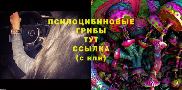 индика Балахна