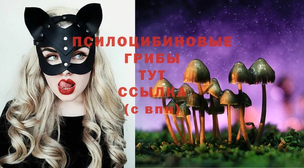 каннабис Белокуриха